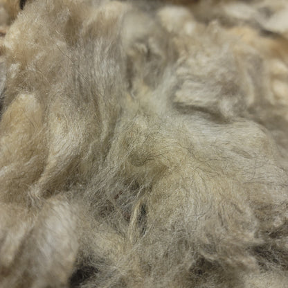 Shetland Raw Wool