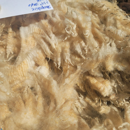 Shropshire Raw Wool