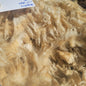 Shropshire Raw Wool