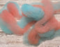 BFLX Dyed Roving - Blue/Coral, 1 oz