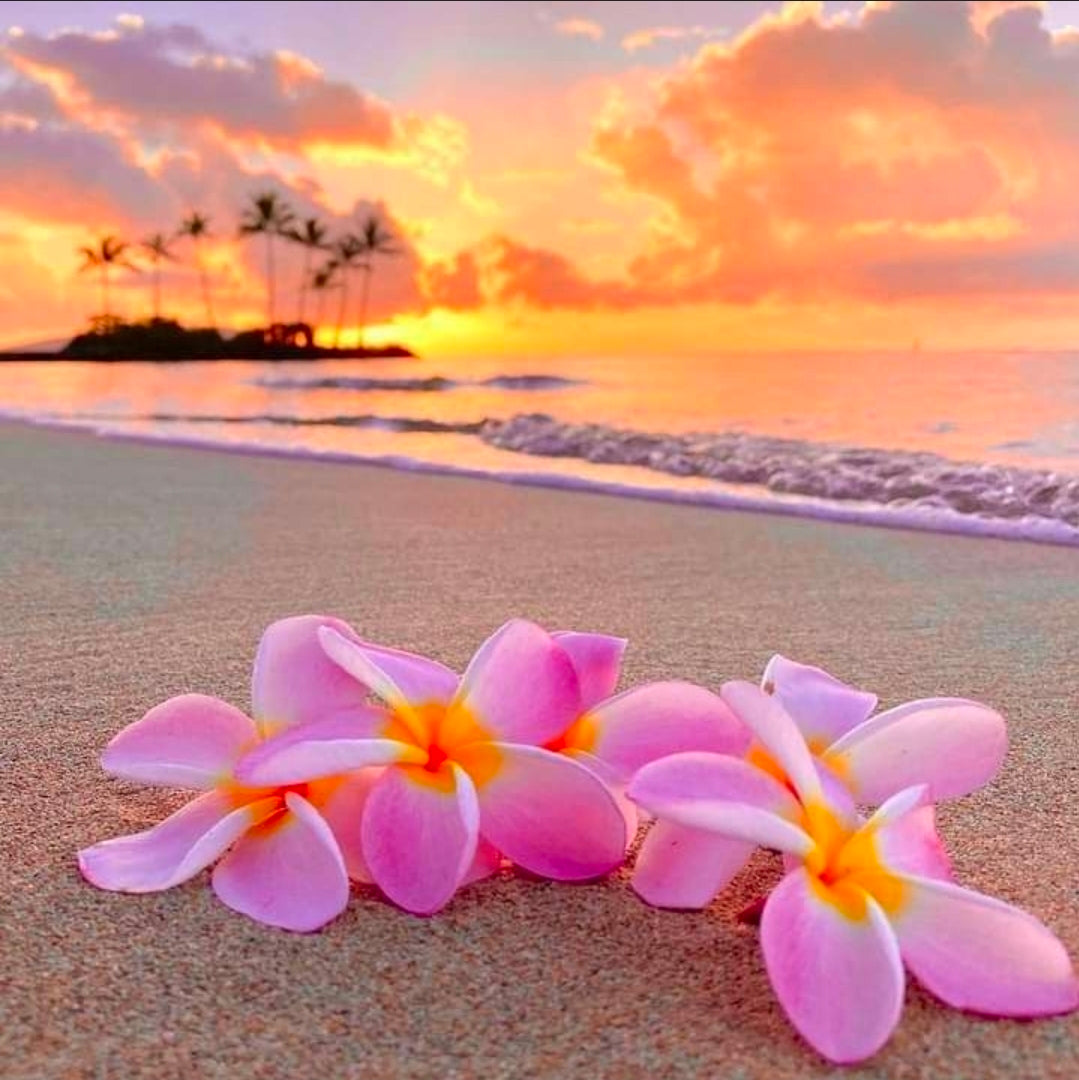2026 Two Friends Fiber Advent Calendar